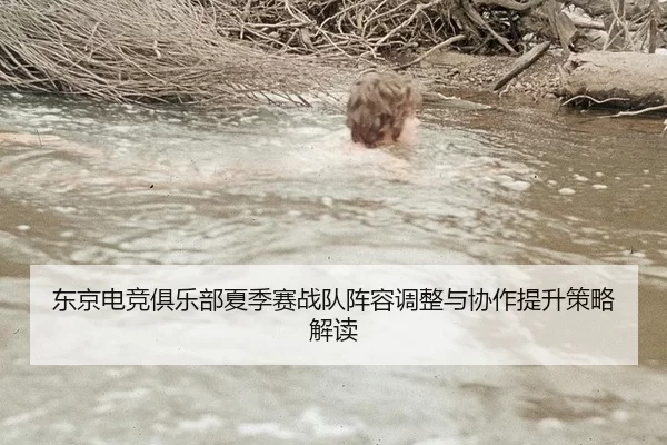东京电竞俱乐部夏季赛战队阵容调整与协作提升策略解读