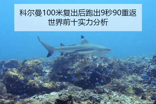 科尔曼100米复出后跑出9秒90重返世界前十实力分析
